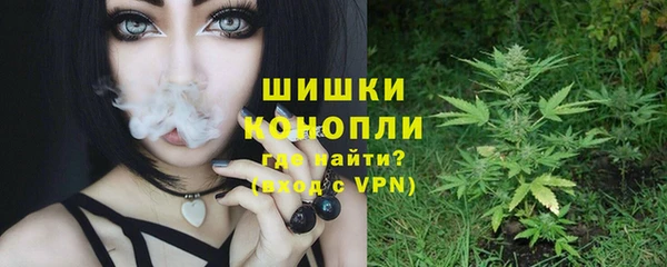spice Дегтярск